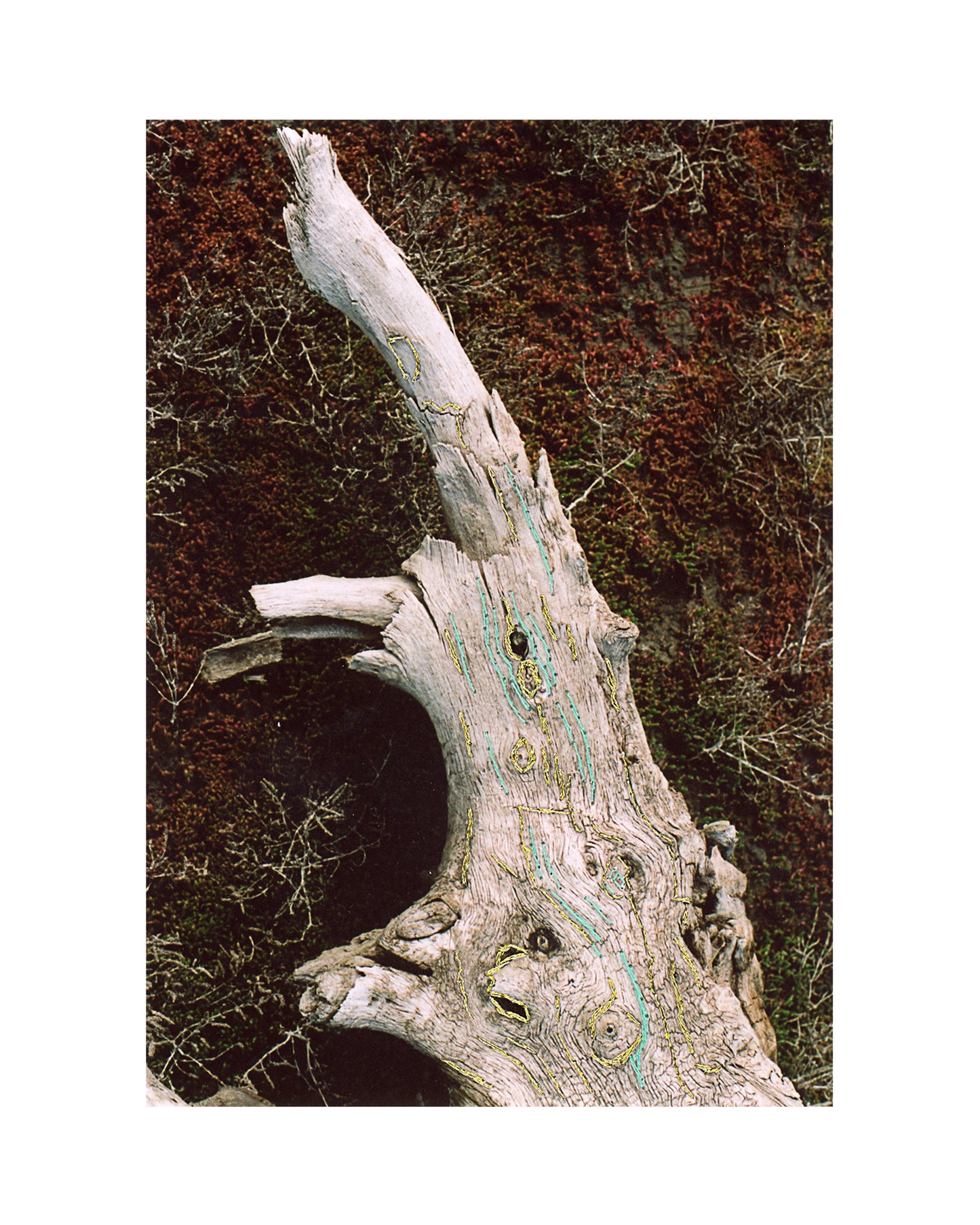 Treasures of Soledar 2