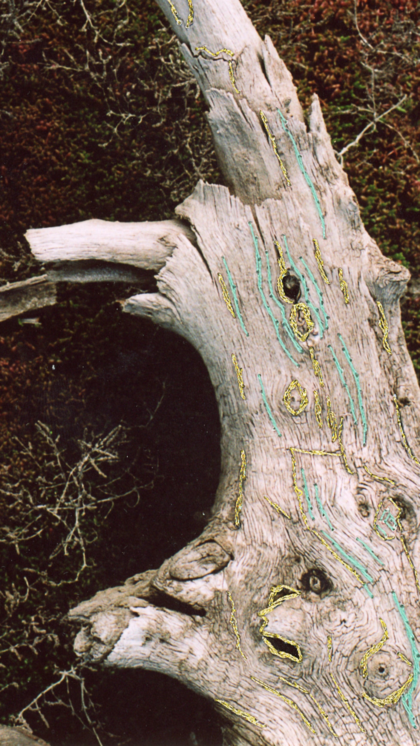 Treasures of Soledar 2